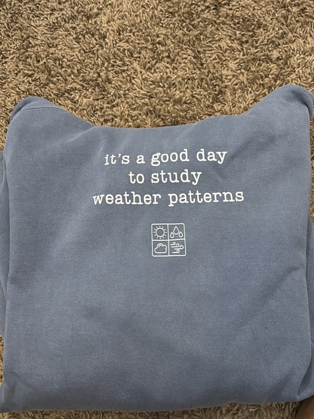 Blue Graphic Sweatshirt - "it's a good day to study weather patterns"